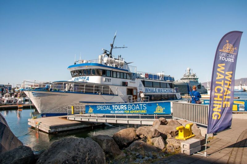 Reykjavik: Whale Watching Tour - Accessibility and Comfort