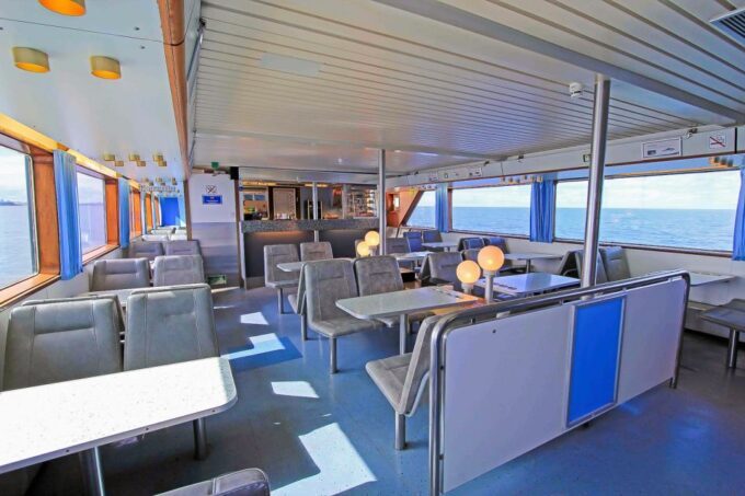 Reykjavik: Whale Watching Tour - Recommended Attire and Precautions