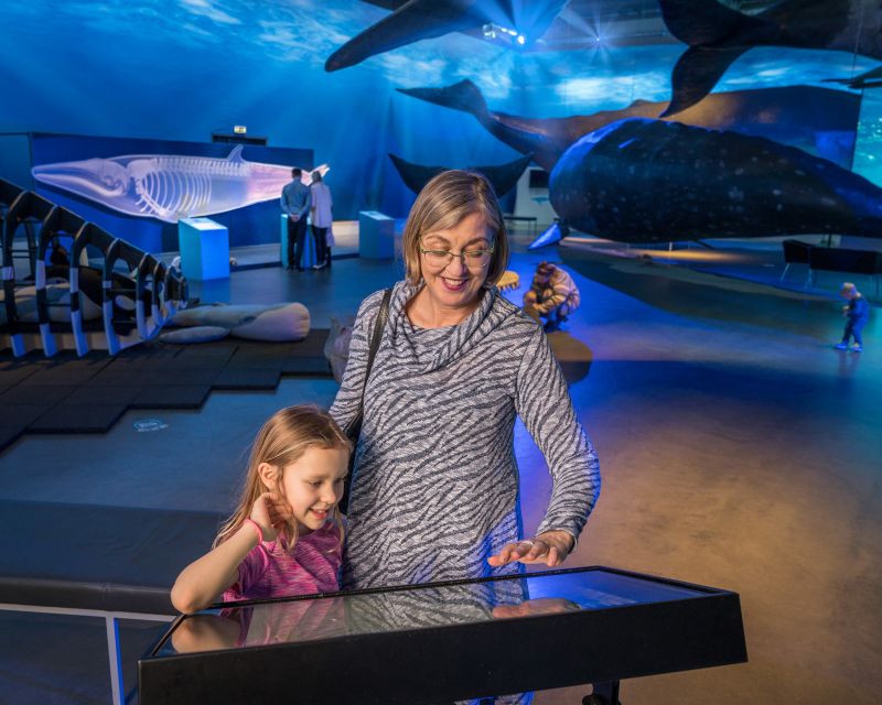 Reykjavik: Whale Watching Tour, Whales of Iceland Exhibition - Key Points