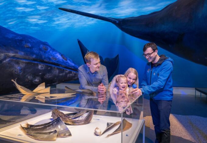 Reykjavik: Whales of Iceland Museum Entrance Ticket - Visitor Amenities and Services