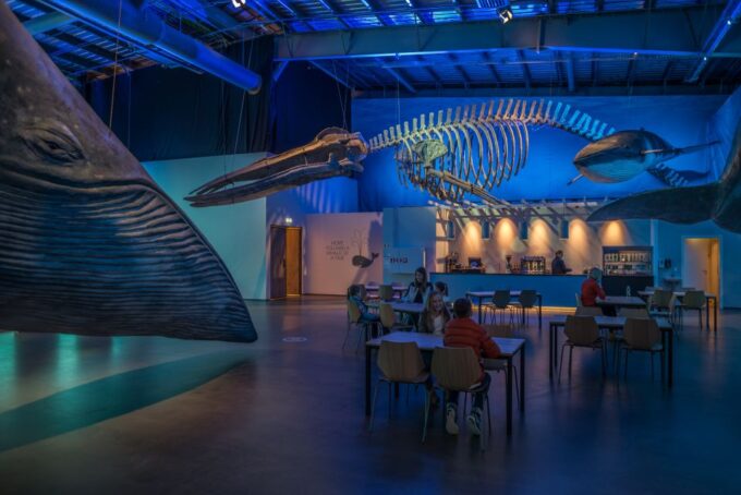 Reykjavik: Whales of Iceland Museum Entrance Ticket - Customer Reviews and Ratings