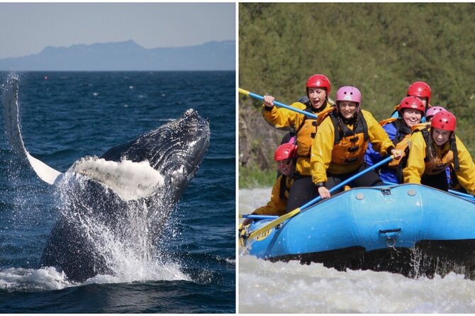 Reykjavik Whales & White Water Rafting Adventure - Meeting and Pickup Details