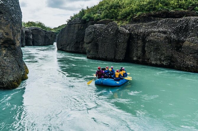Reykjavik Whales & White Water Rafting Adventure - Whale Watching Highlights