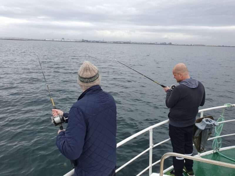 Reykjaviks Finest Catch: Guided Sea Angling Tour - Key Points