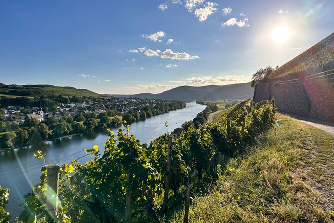 Rhein Castles & Regal Riesling. Tasting Wine Along the Rhein - Customer Reviews and Ratings