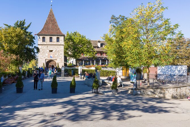 Rhine Falls Coach Tour From Zurich - Additional Information