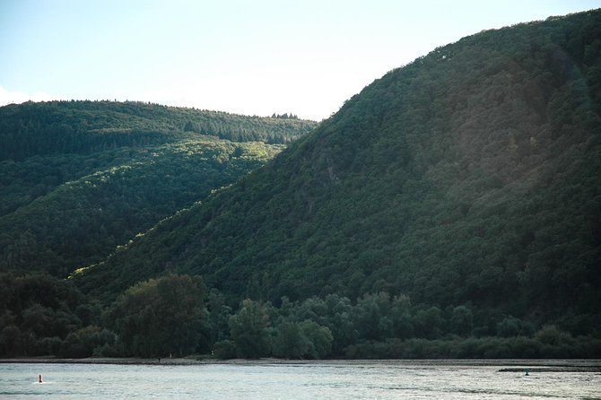 Rhine Valley Trip From Frankfurt Including Rhine River Cruise - Audioguide and Accessibility