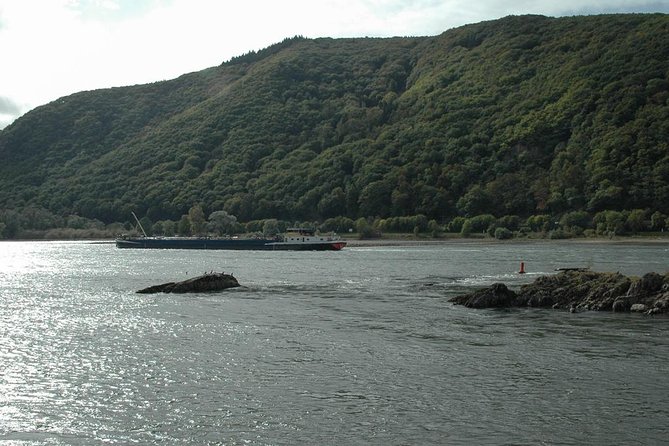 Rhine Valley Trip From Frankfurt Including Rhine River Cruise - Riverside Meal Options