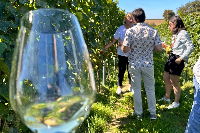 Rhine Valley Wine Tasting Tour From Frankfurt and Mainz - Private Transportation
