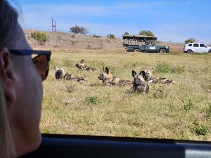 Rhino and Lion Park (Safari) and Cradle (Maropeng Museum) - Inclusions and Amenities
