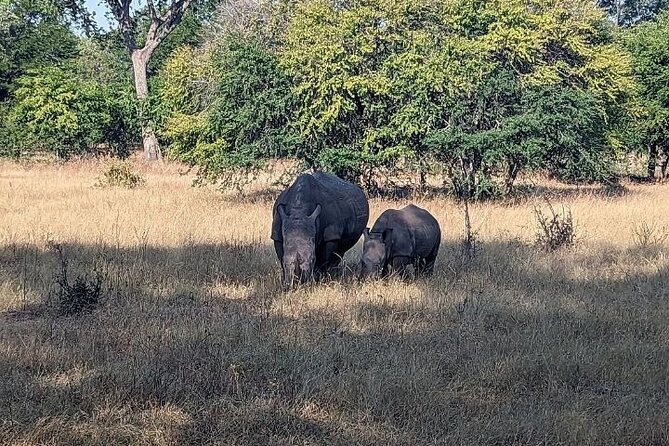 Rhino Walking Safari - Mosi Oa Tunya National Park