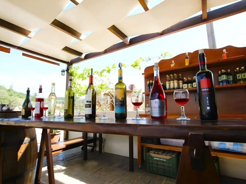 Rhodes: Butterflies Valley, Castle, Prasonisi & Wine Village - Key Points