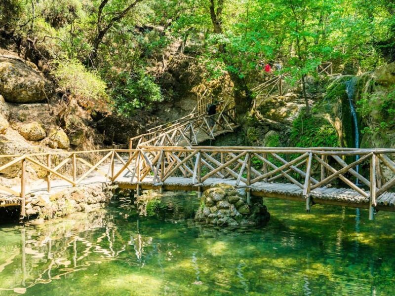 Rhodes: Butterflies Valley, Castle, Prasonisi & Wine Village - Pricing and Cancellation