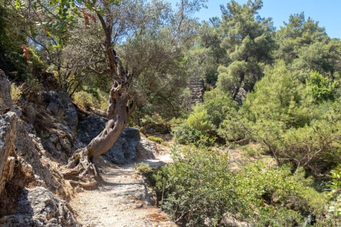 Rhodes: Butterfly Valley and Seven Springs Valley Day Trip - Packing and Preparation Tips