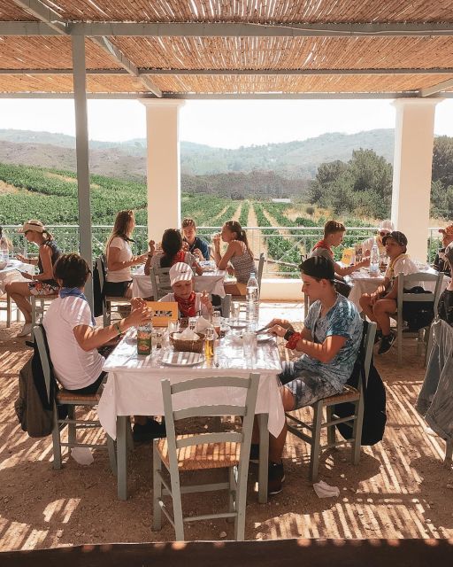 Rhodes City Tour, Cooking Class & Wine Tasting - Tour Highlights