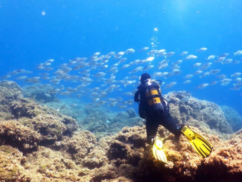 Rhodes: Diving Adventure for Beginners and Experts - Experience and Highlights