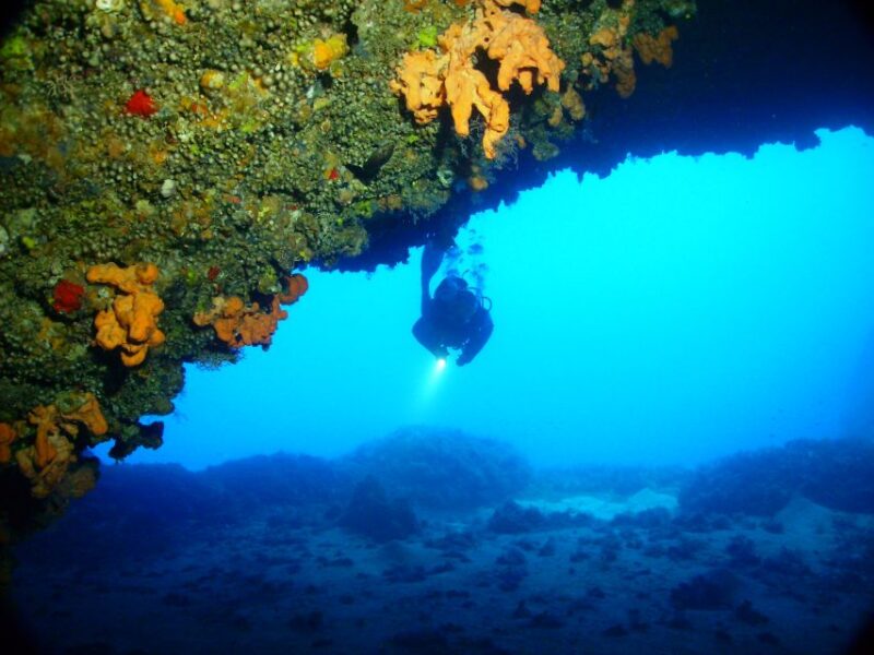 Rhodes: Diving Adventure for Beginners and Experts - Benefits for Beginners