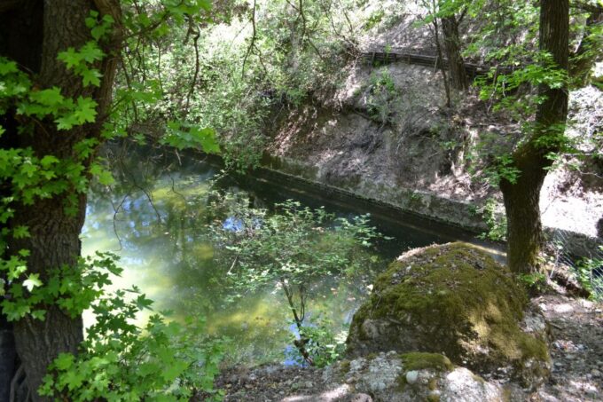 Rhodes: Filerimos, Butterfly Valley & Ancient Kamiros Tour - Inclusions and Exclusions