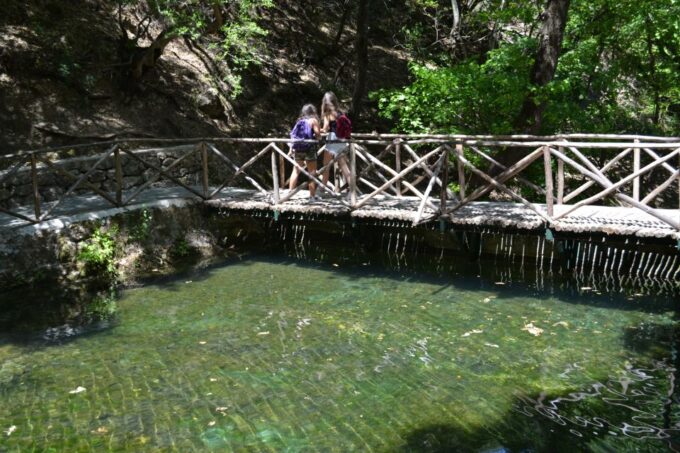 Rhodes: Filerimos, Butterfly Valley & Ancient Kamiros Tour - Important Information