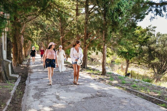 Rhodes: Filerimos Hill and Butterfly Valley Bus Trip - Included and Excluded