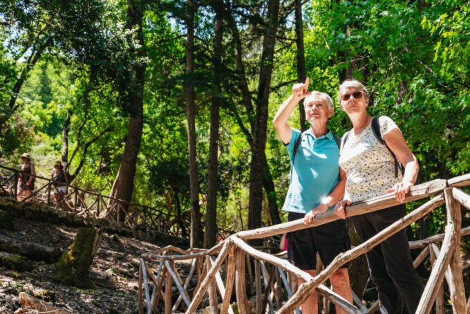 Rhodes: Filerimos Hill and Butterfly Valley Bus Trip - Customer Reviews