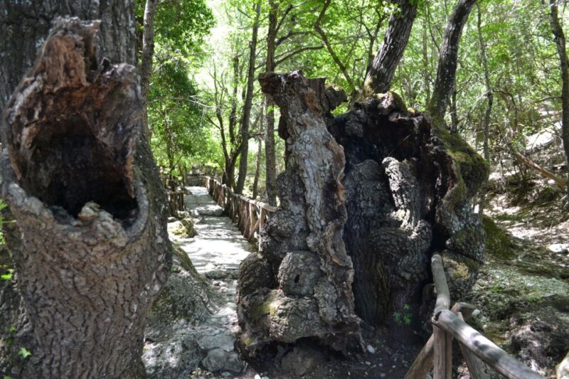 Rhodes: Filerimos, Kamiros , Kritinia Castle in Small Group - Stops and Activities
