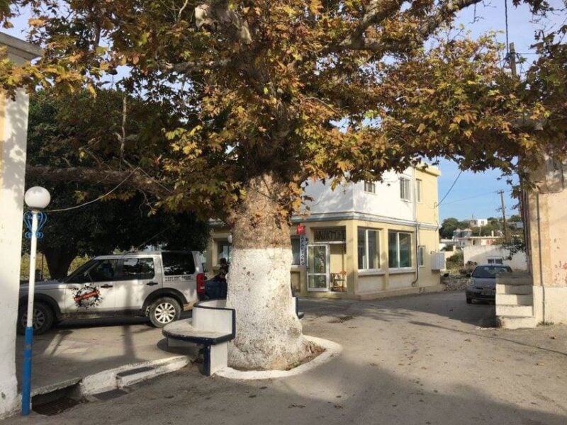Rhodes: Full–Day 4WD Northern Safari Tour - Off-road Adventure
