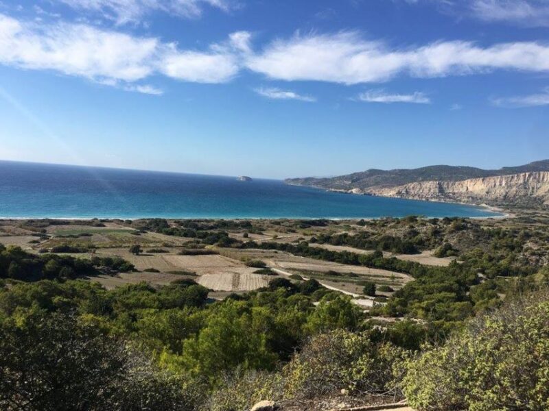 Rhodes: Full-Day 4WD Southern Safari Tour - Itinerary and Activities