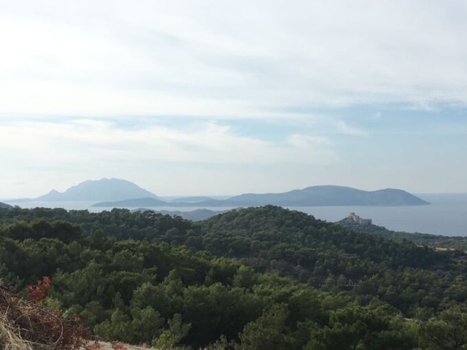 Rhodes: Full-Day 4WD Southern Safari Tour - Lunch With Local Cuisine and Wine