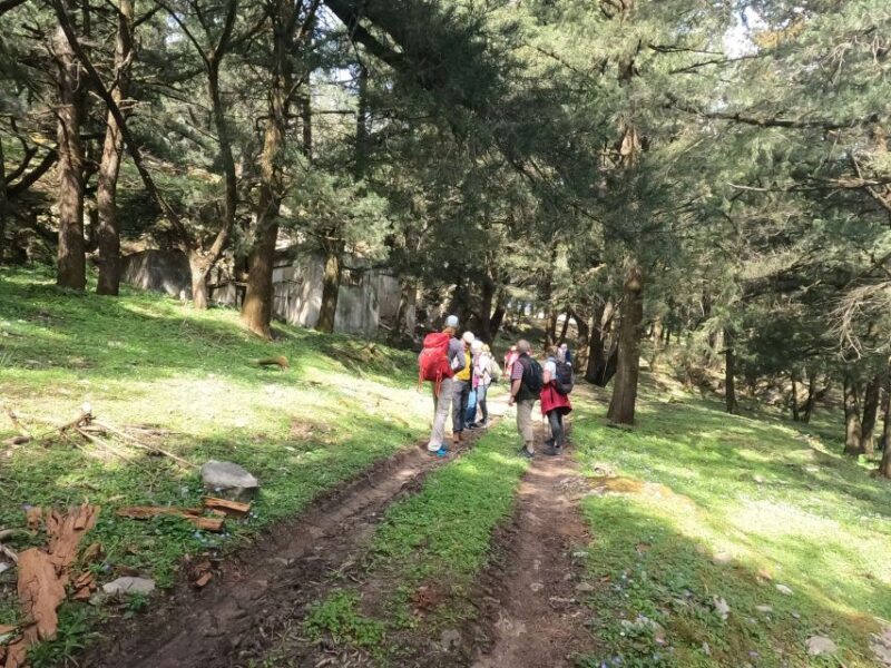 Rhodes: Hike Mountain Profitis Ilias From Salakos Village - Key Points