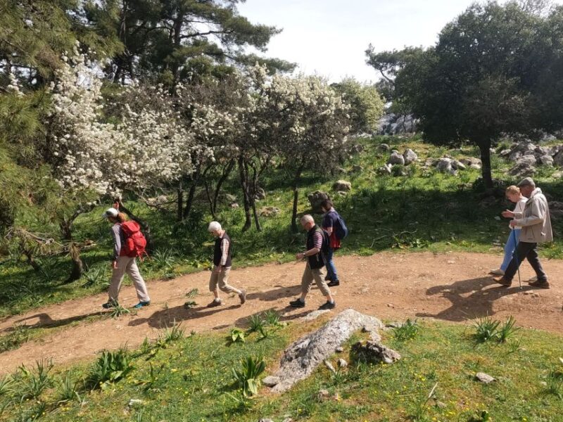 Rhodes: Hike Mountain Profitis Ilias From Salakos Village - Itinerary and Experience