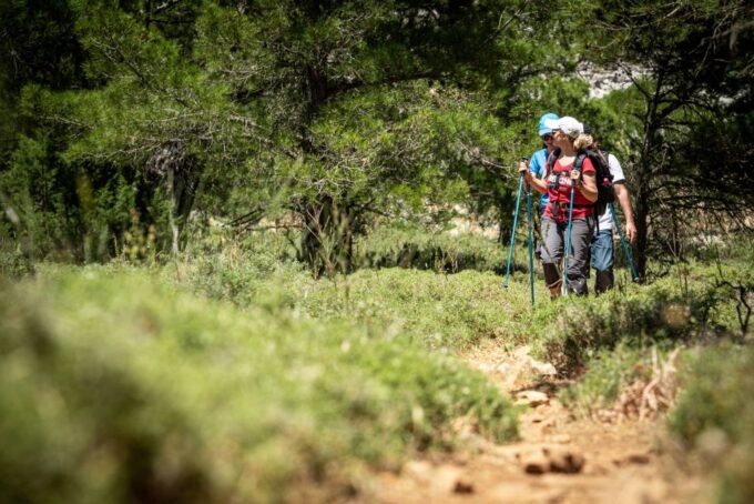 Rhodes: Hiking Tour to the Summit of Akramitis With Photos - Admiring the Panoramic Views