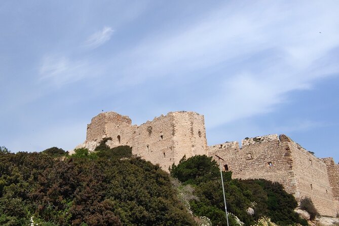 Rhodes Island Guided History & Culture Tour With Wine Tasting  - Dodecanese - Wine and Olive Oil Tasting