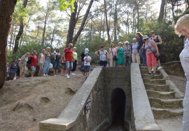 Rhodes: Island Tour by Bus - Key Points