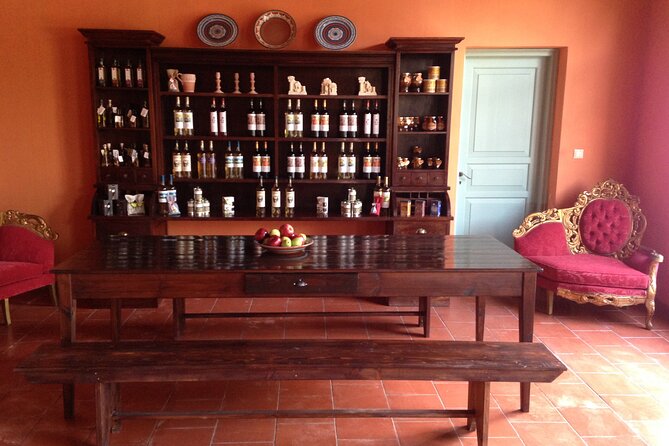 Rhodes Island Tour: Lindos, Old Town, Pottery Workshop, Wine Tasting - Customer Experiences and Feedback