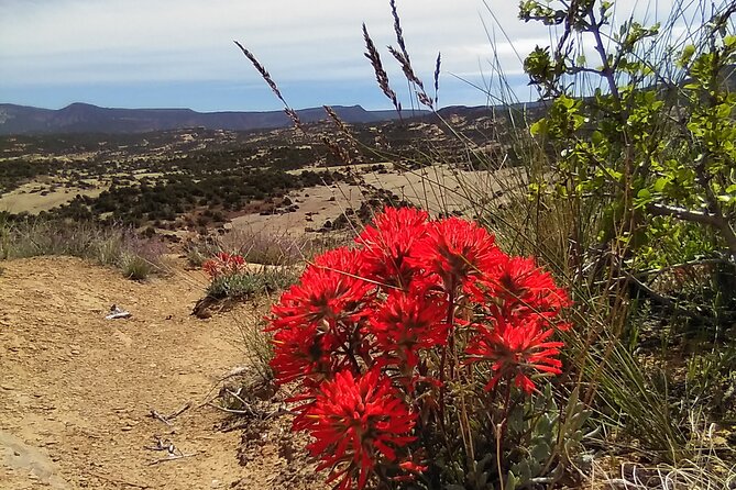 Rhodes off Road Adventures Guided Jeep Tour From Rock Crawling to Petroglyphs - Tour Overview