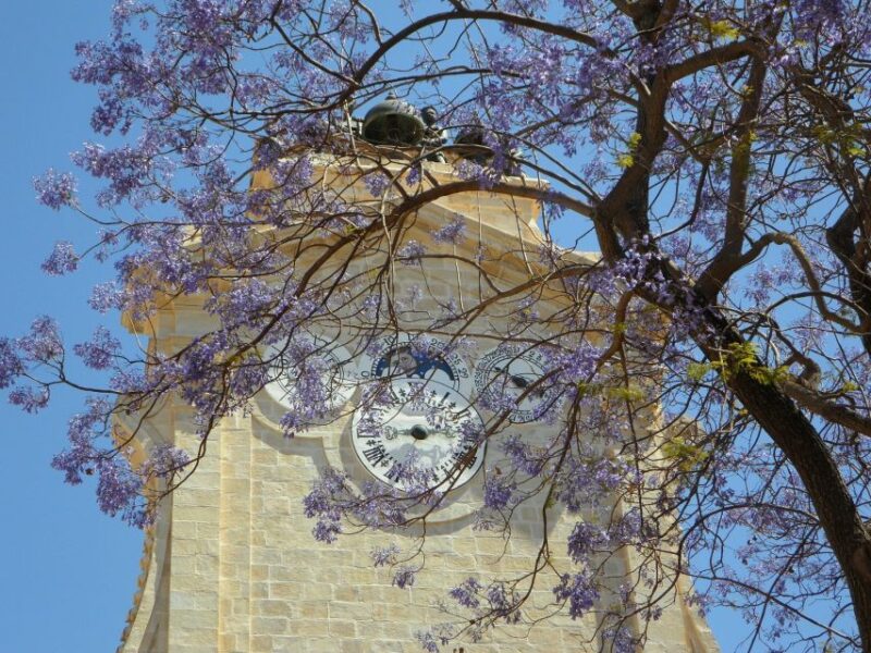 Rhodes: Old Town Private Walking Tour With an Expert Guide - Palace of the Grand Masters