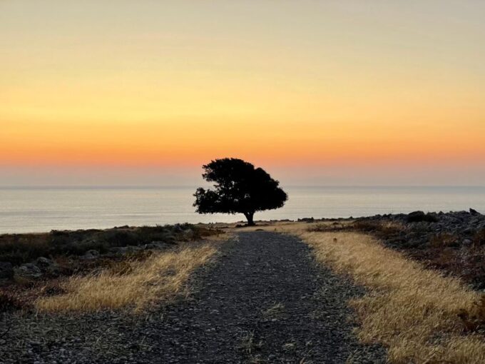 Rhodes: Pefkos-Navarone Bay, “The Magic of Sunrise” - Positive Customer Reviews