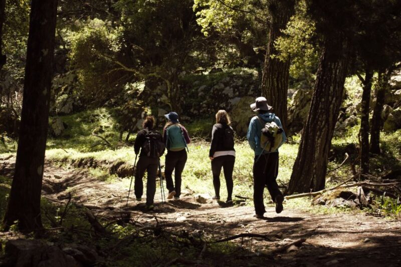 Rhodes: Profitis Ilias Guided Sunset Hike - Important Information