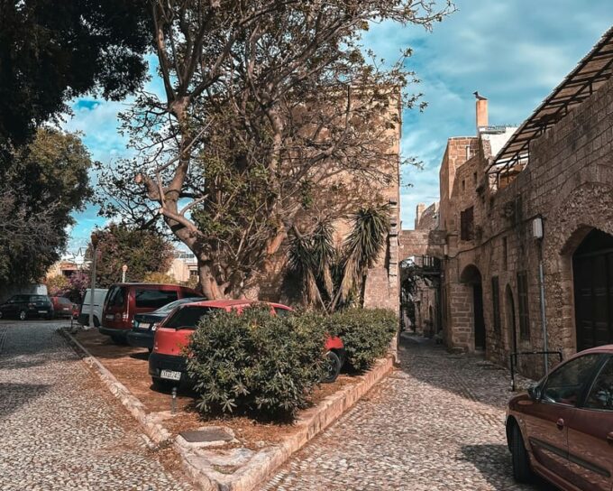 Rhodes Revealed: Exclusive Private Walking Journey - Local Guide Expertise
