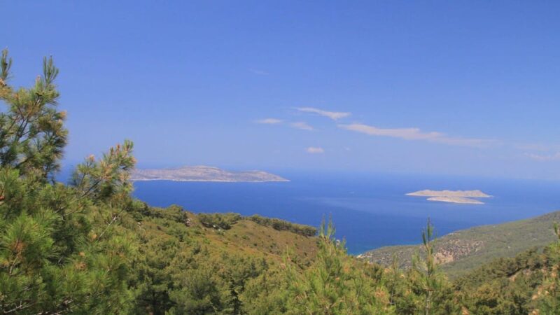 Rhodes: Safari With Experienced Driver - South Pick Ups - Explore Diverse Nature