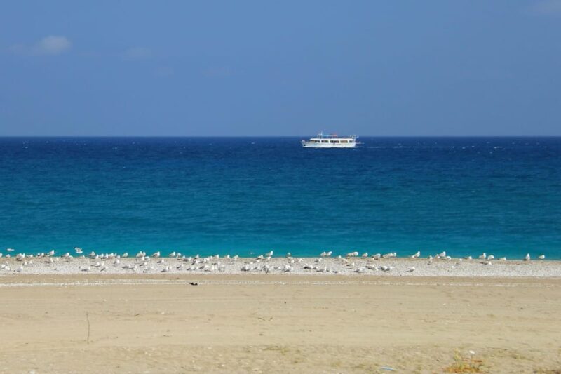Rhodes: Safari With Our Driver - North - Pick Ups West Coast - Safety and Restrictions
