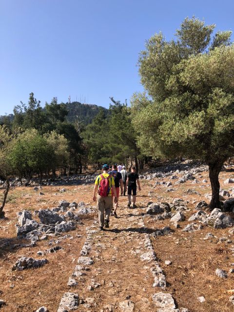 Rhodes: Salakos to Profitis Ilias 4 Hours Guided Hike - Guided Hike From Salakos
