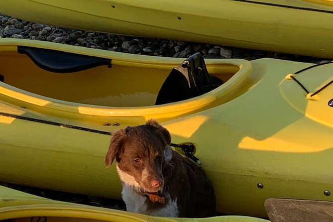 Rhodes Sea Kayaking Adventure Including Transfers - Confirmation and Transportation Details