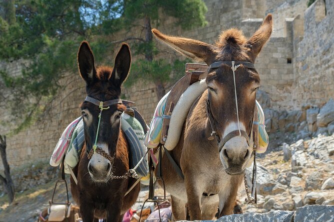 Rhodes Self Drive 4x4 Wilderness Expedition and Lavish Lunch - Booking Confirmation