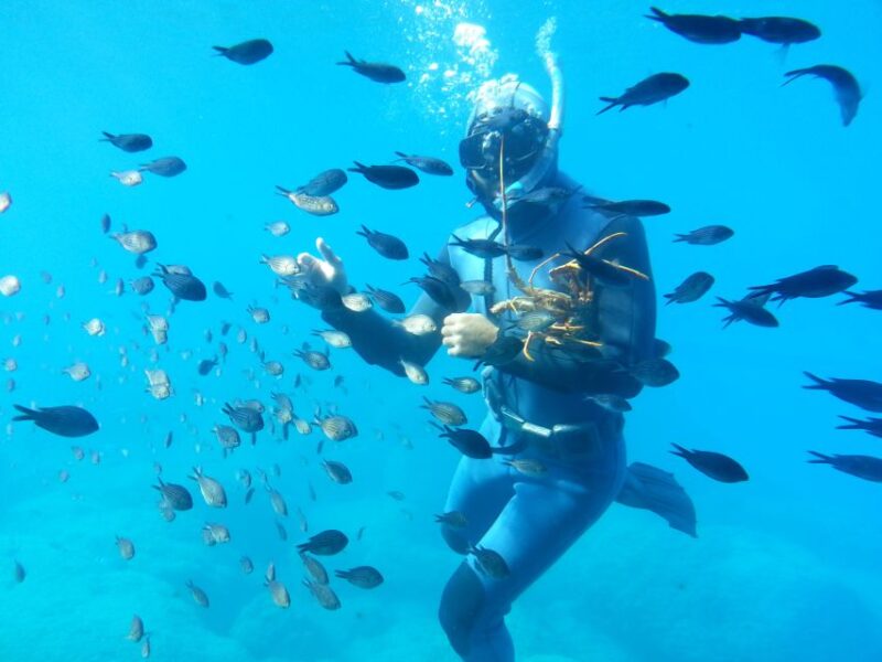 Rhodes Town: Yellow Submarine Cruise With Underwater Views - Experience Highlights