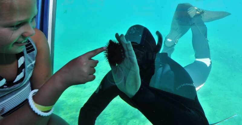 Rhodes Town: Yellow Submarine Cruise With Underwater Views - Itinerary Details