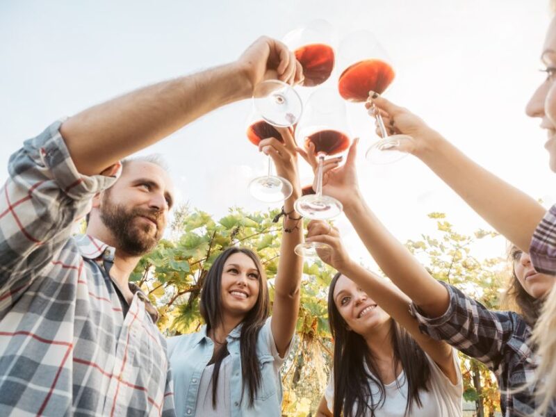 Rhodes: Winery Tour and Tasting Experience - Tsipouro Digestive