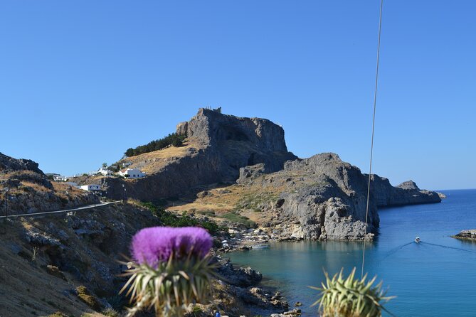 Rhodos : Full-Day Tour to Lindos Village - Customer Feedback