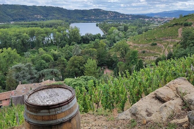 Rhone Valley Wine Tasting - Overview of the Tour